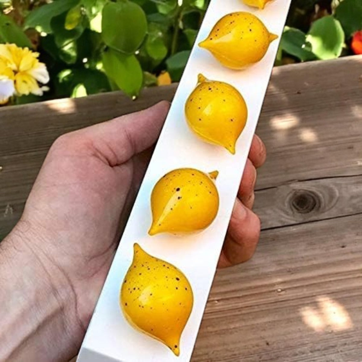 Moule Chocolat - ChocoCraftMold™ - Citron
